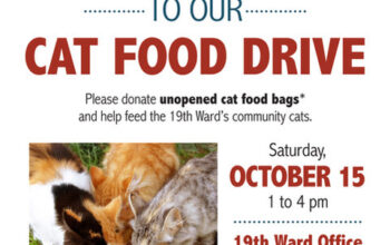19th Ward Community Cats Food Drive